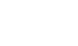 el articulo